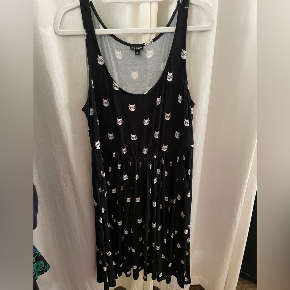Cat with glasses Torrid dress